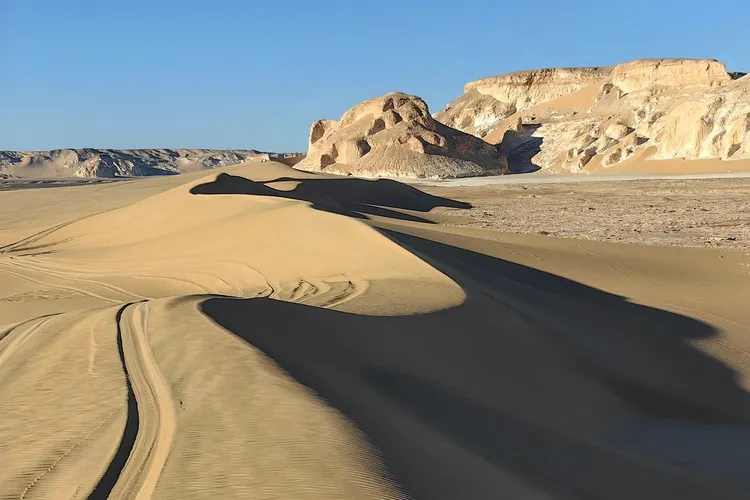 سامح سيف اليزل زعيم أكبر كتلة برلمانية في مصر