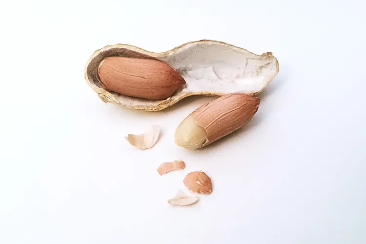 الفول السوداني أثناء الحمل