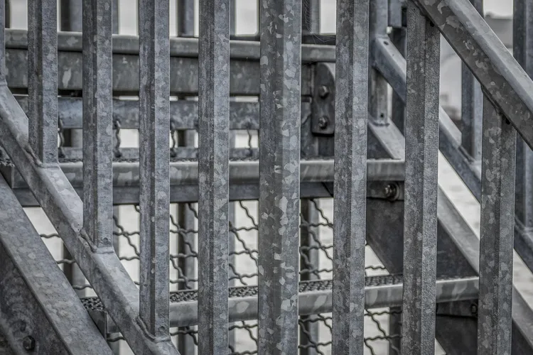 أطعمة غنية بالزنك للأطفال