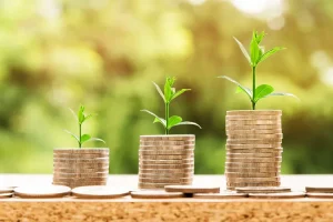 ترتيب الدول حسب دخل الفرد 2019