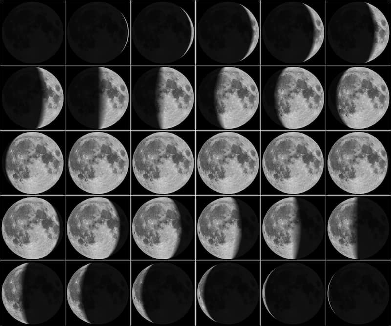 the moon phases