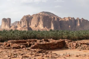 لماذا نحتاج الى تحديد المحميات الطبيعيه في وطننا