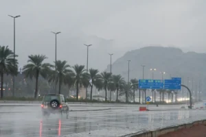 من ركائز رؤية المملكة ٢٠٣٠ المناخ