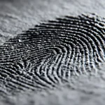 ما هي الجمل التي تعبر عن القانون العلمي ؟