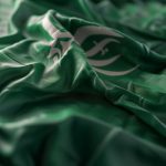 الأمراض التي يشملها الضمان الاجتماعي السعودي