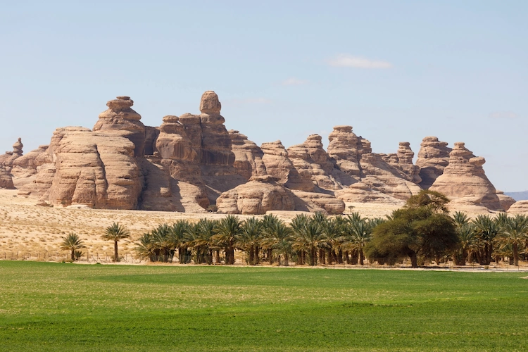 أنشئت المحميات في المملكة بهدف