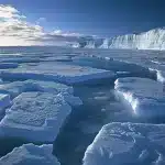 يتميز مناخ القاره القطبيه بانه