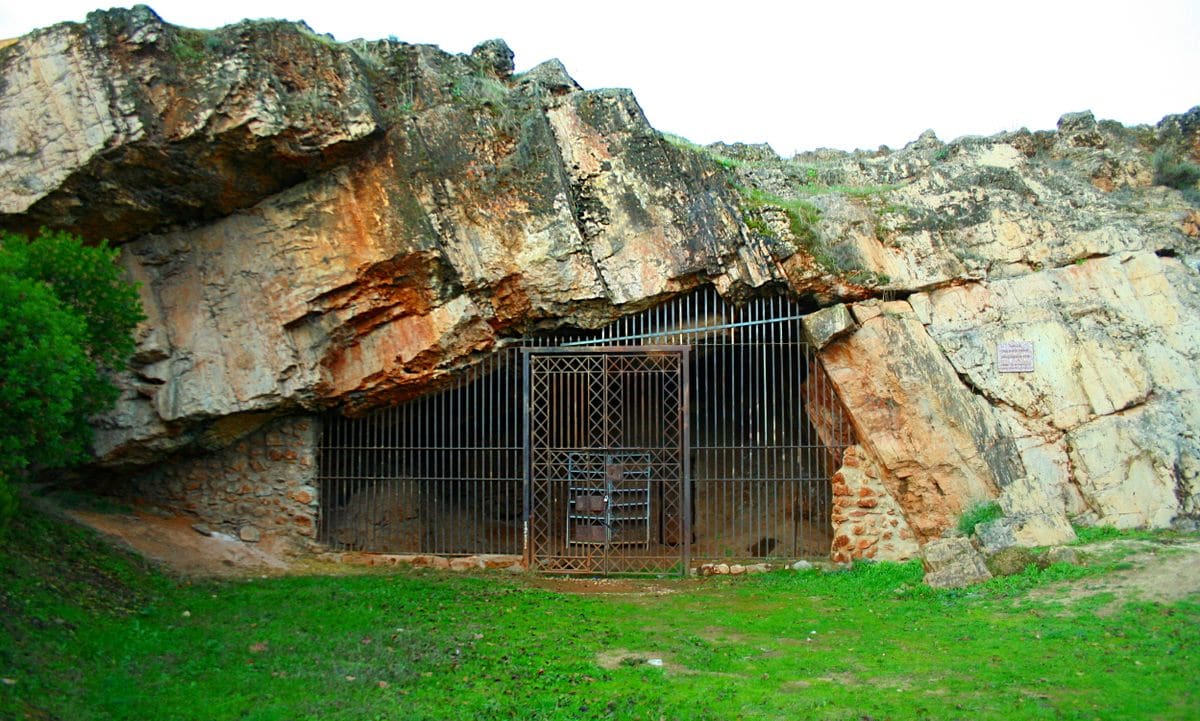مالترافييسو