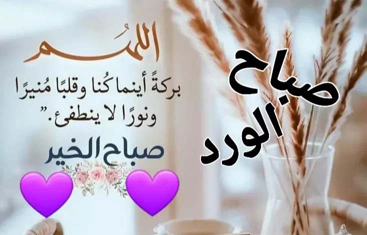 صور صباحية