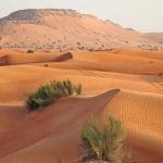ما سبب تنوع تضاريس المملكة العربية السعودية