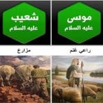 من هو النبي الذي كان يعمل طبيبا