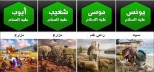 من هو النبي الذي كان يعمل طبيبا
