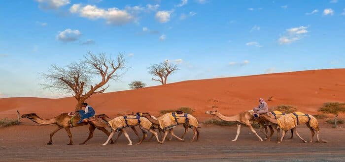 احذروا مخاطر حليب الابل الغير مبستر على الكبار والصغار