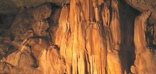 المحميات الطبيعية في سلطنة عمان