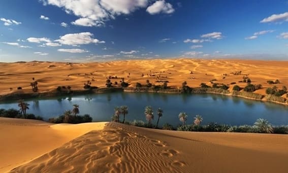 المحميات الطبيعية في سلطنة عمان