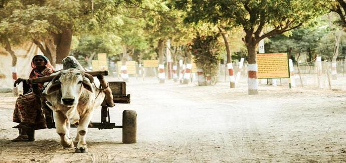 من يتحدث اللغة التاميلية وما اصلها