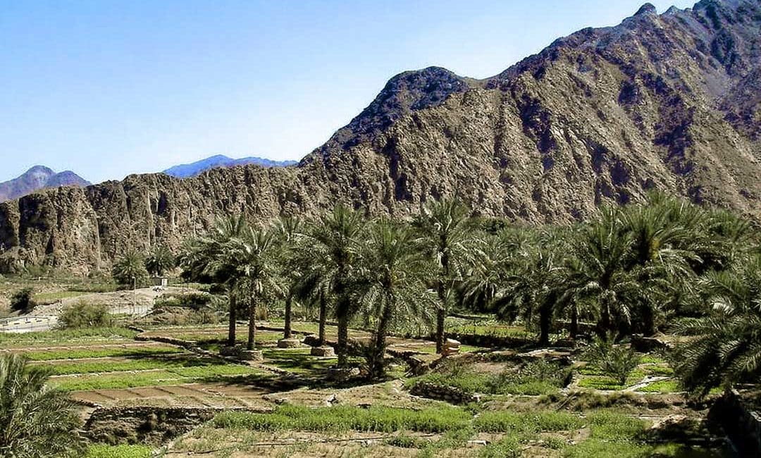 منطقة النحوة