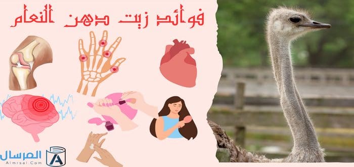 فوائد زيت دهن النعام ,, وين احصل الأصلي منه ؟