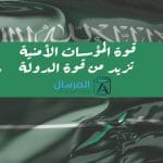 قوة المؤسسات الأمنية تزيد من قوة الدولة