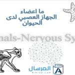 ما اعضاء الجهاز العصبي لدى الحيوان