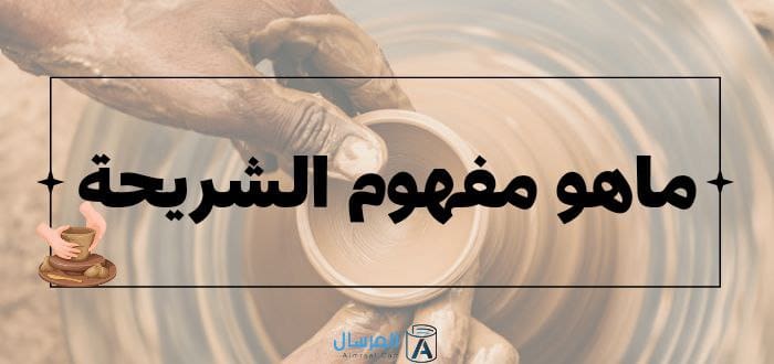 ما هو مفهوم الشريحة