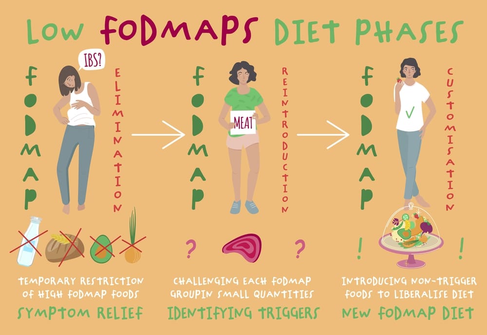 Low FODMAPS diet phases. Fodmaps are hard to digest carbohydrates and sugars. Healthy nutrition infographics. Irritable Bowel Syndrome. Digestive problems causes
