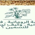 الحلبة الرومانية .. فوائدها الصحية .. وكيف تستعمل للتسمين ؟