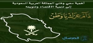 أهمية سعي وطني المملكة العربية السعودية إلى تنمية الاقتصاد وتنويعه