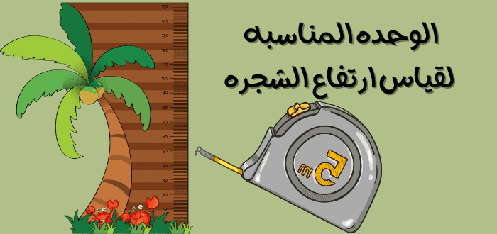 ما الوحده المناسبه لقياس ارتفاع الشجره