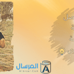 الى كم تصل سرعة النعامة القصوى