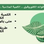 فوائد الكلوروفيل .. الكمية المناسبة .. متى يكون ضاراً