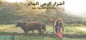 أضرار الرعي الجائر .. والنتائج المترتبة عليه