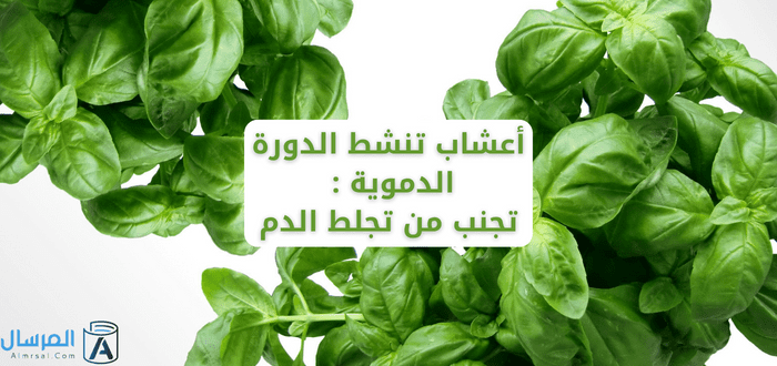 أعشاب تنشط الدورة الدموية تجنب من تجلط الدم