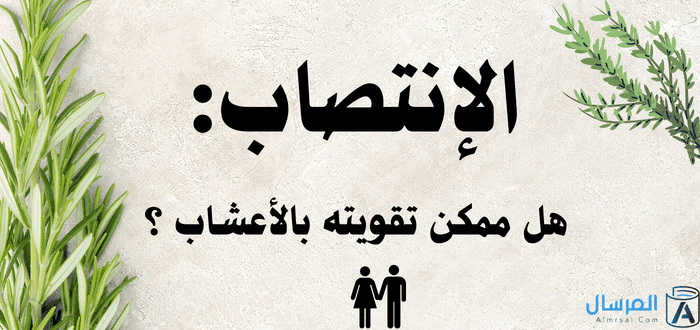 الإنتصاب هل ممكن تقويته بالأعشاب ؟