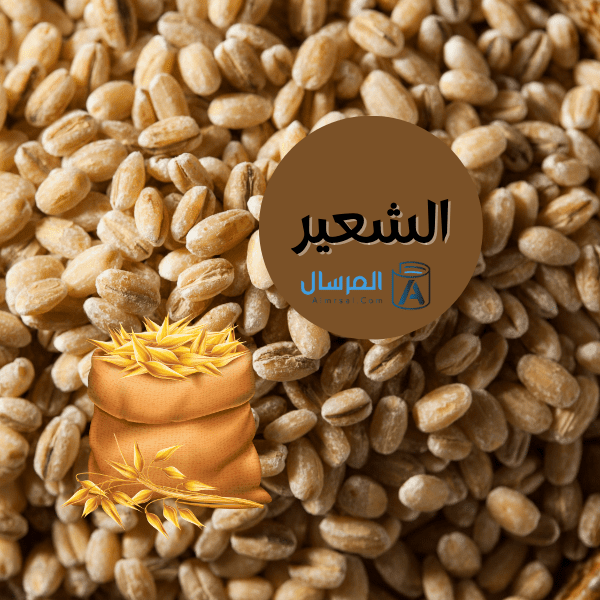 المسموح والممنوع من الأطعمة للرضع