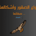 انواع الصقور وأشكالها .. صفاتها 