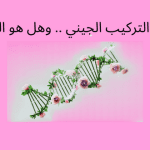 تعريف التركيب الجيني .. وهل هو الـ DNA