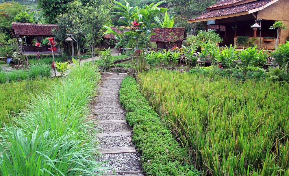 حديقة Rainbow garden lembang