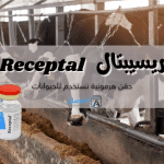 ريسيبتال Receptal حقن هرمونية تستخدم للحيوانات