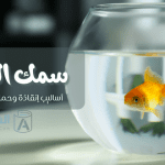 سمك الزينة أساليب إنقاذة وحمايتة من الموت