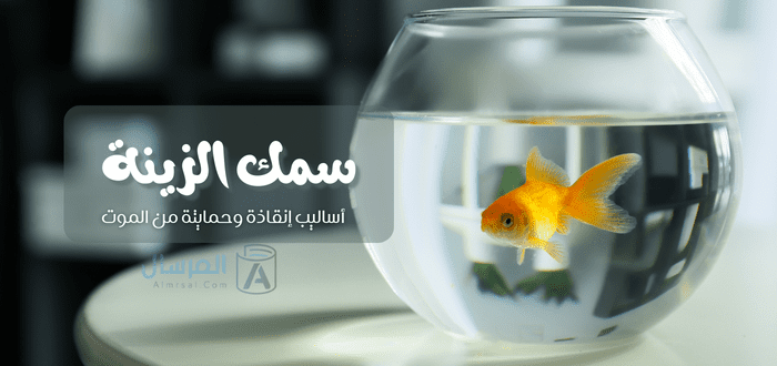 سمك الزينة أساليب إنقاذة وحمايتة من الموت