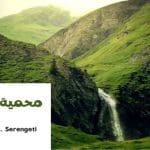 محمية سيرينغيتي Serengeti .. أشهر محمية في العالم