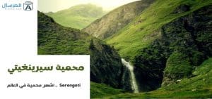 محمية سيرينغيتي Serengeti .. أشهر محمية في العالم