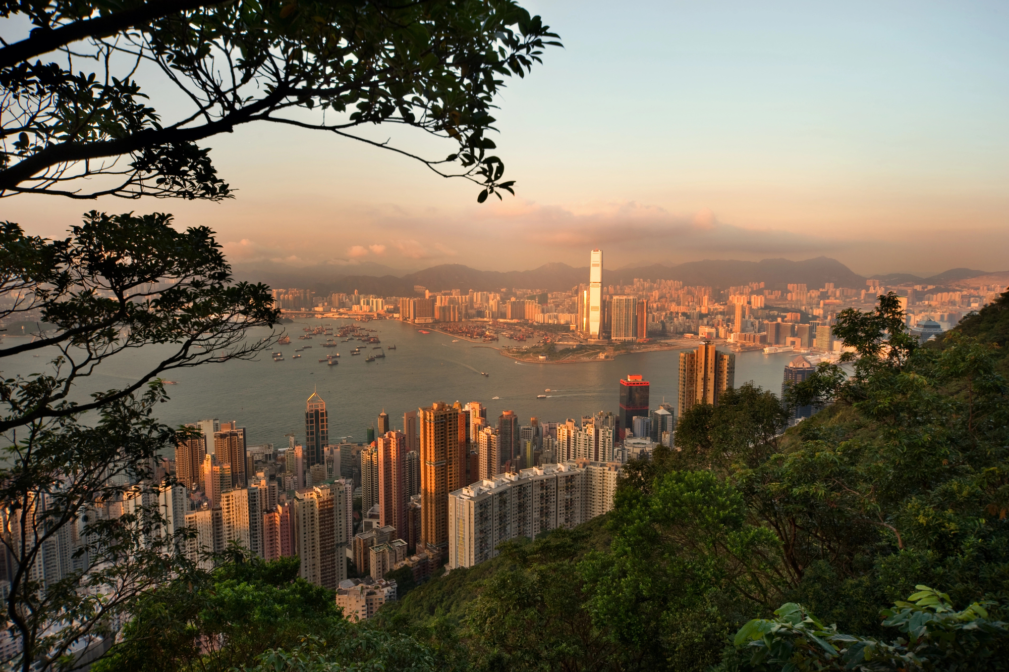 Hong Kong city view from Victoria peak