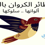 أنواع طائر الكروان بالصور ألوانها .. سلوكها