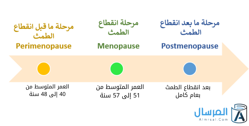 الخط الزمني لمراحل انقطاع الطمث