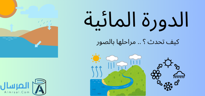 الدورة المائية: كيف تحدث ؟ .. مراحلها بالصور