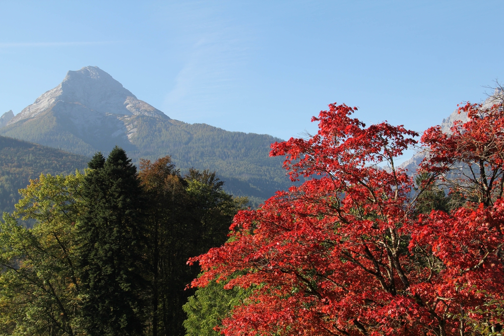 جبل تاكاو Takao Mountain