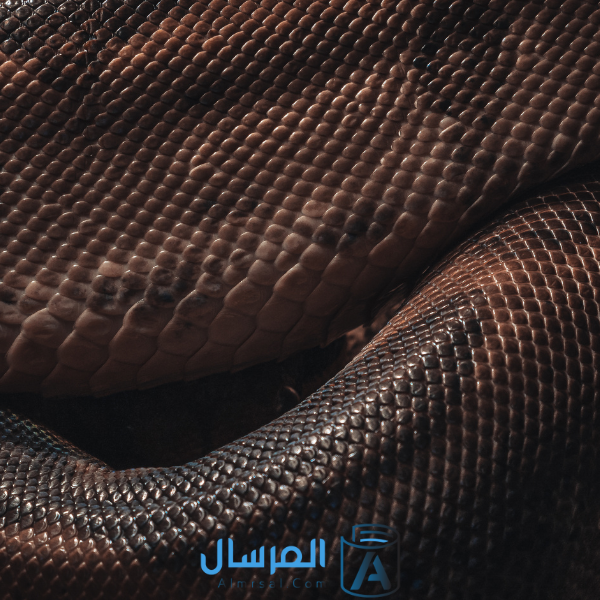 فوبيا الثقوب