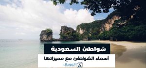 شواطئ السعودية أسماء الشواطئ مع مميزاتها